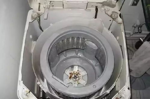 技术贴 洗衣机脱水桶不平衡的调整方法
